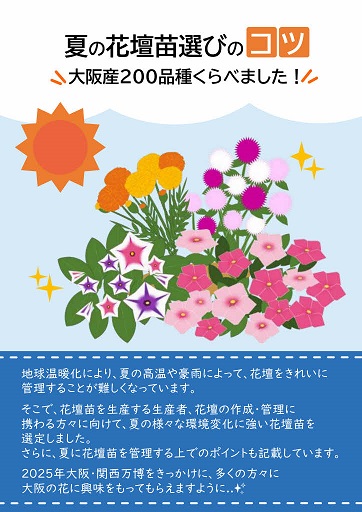 夏の花壇苗選びのコツ　大阪産200品種くらべました！