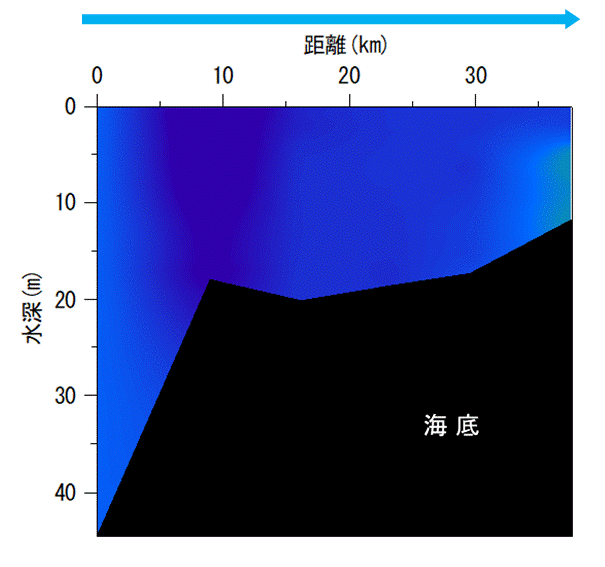 2025年11月4,5調査　貧酸素水塊は確認されませんでした。
