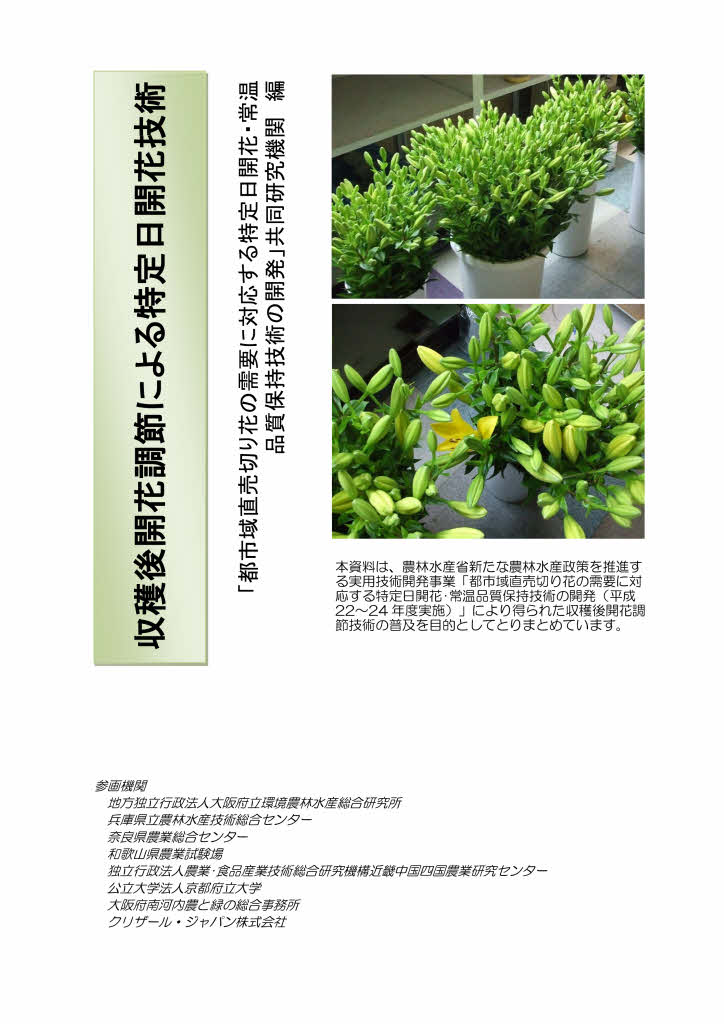収穫後開花調節による特定日開花技術