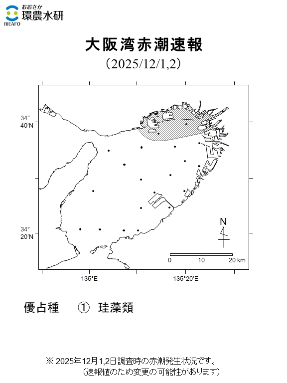 2025年12月1,2日調査結果 珪藻類による赤潮の発生が確認されました。