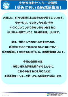 企画展_身近にもいる絶滅危惧種