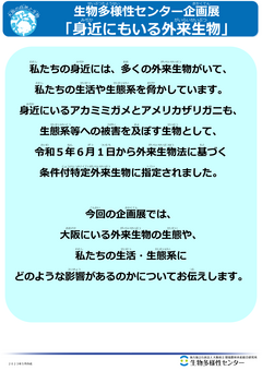 企画展_身近にもいる外来生物