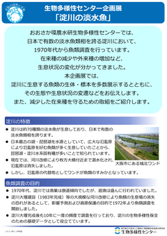 企画展_淀川の淡水魚