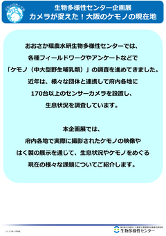 企画展_カメラが捉えた！大阪のケモノの現在地