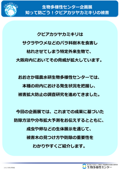 企画展_知って防ごう！クビアカツヤカミキリの被害～あなたの家の近くにも！？～