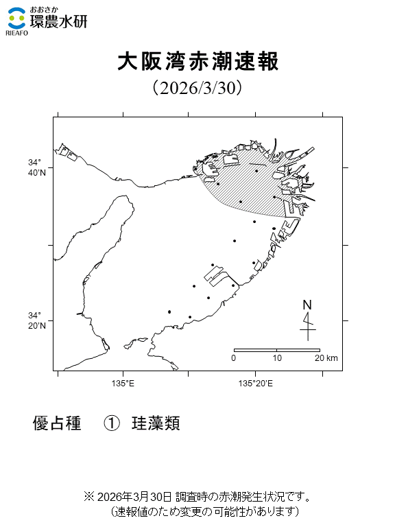 2026年3月30日調査結果 珪藻類の赤潮発生が確認されました。