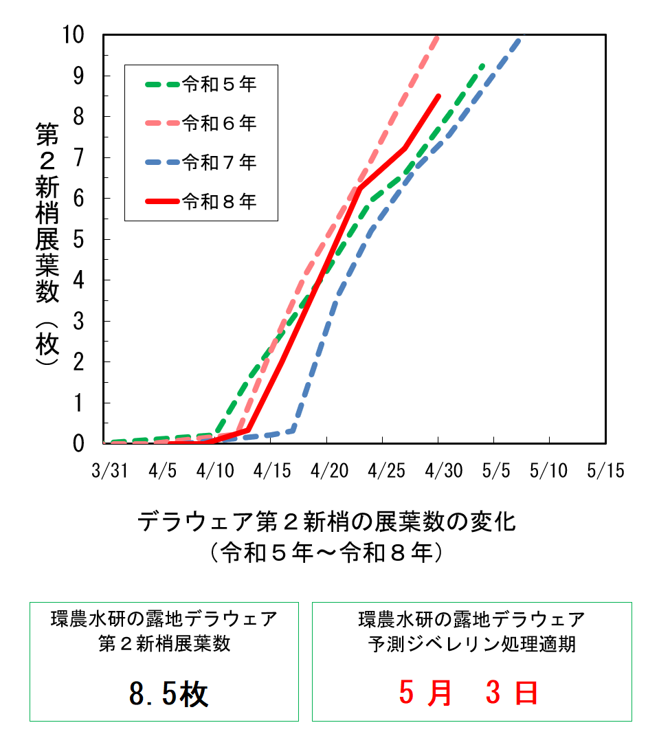 デラウェア第2新梢展葉数の変化(令和8年4月27日)