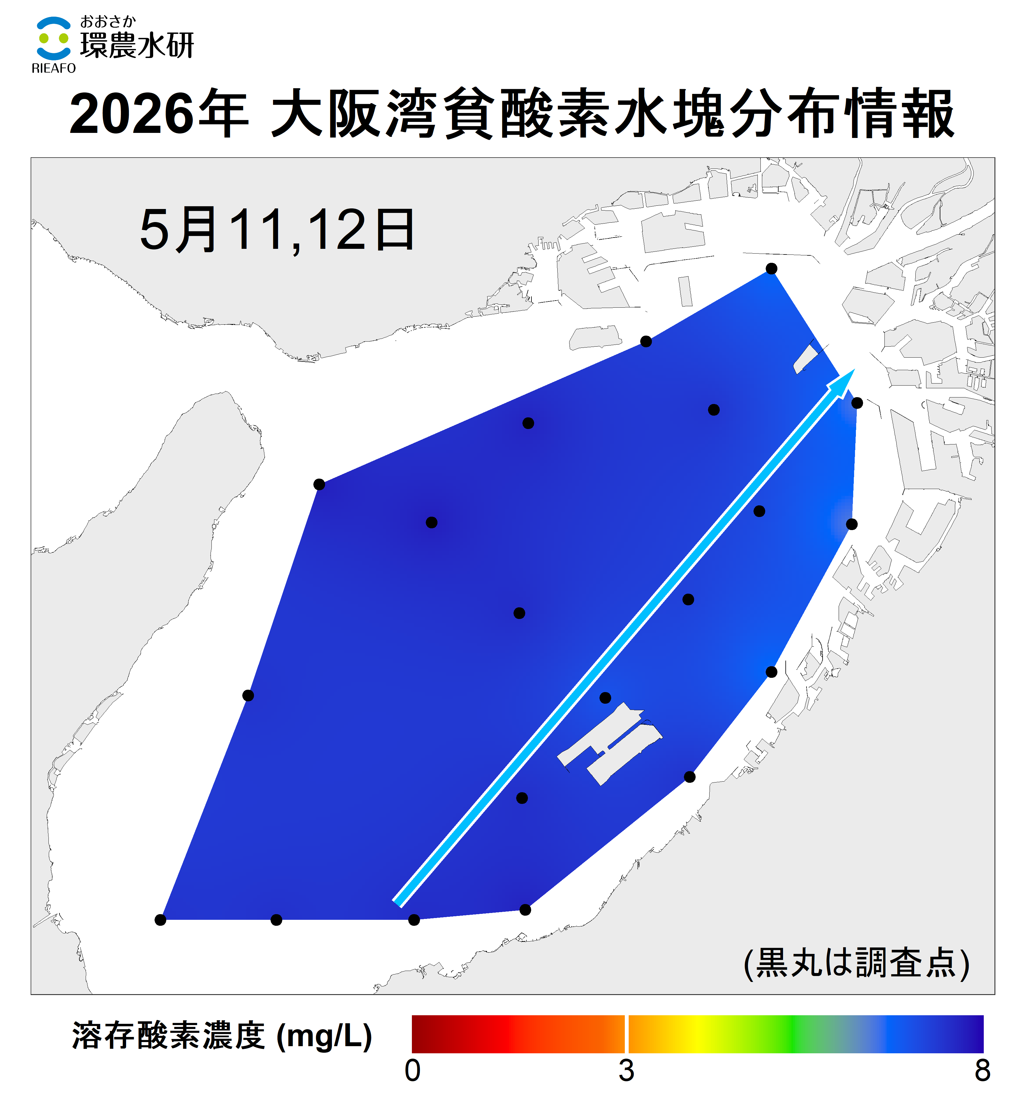 2025年5月11,12日調査　貧酸素水塊は確認されませんでした。