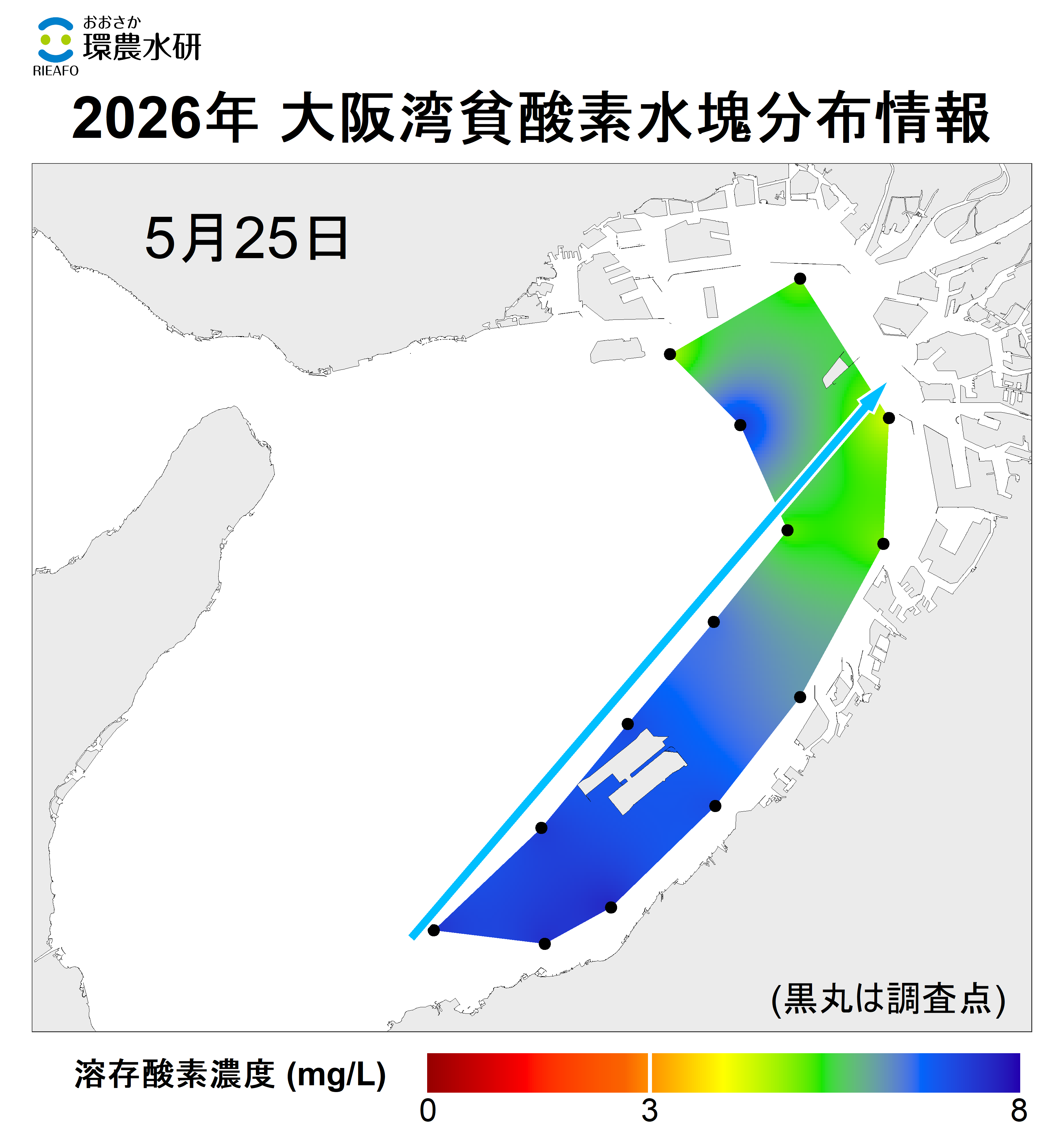 2025年5月25日調査　貧酸素水塊は確認されませんでした。