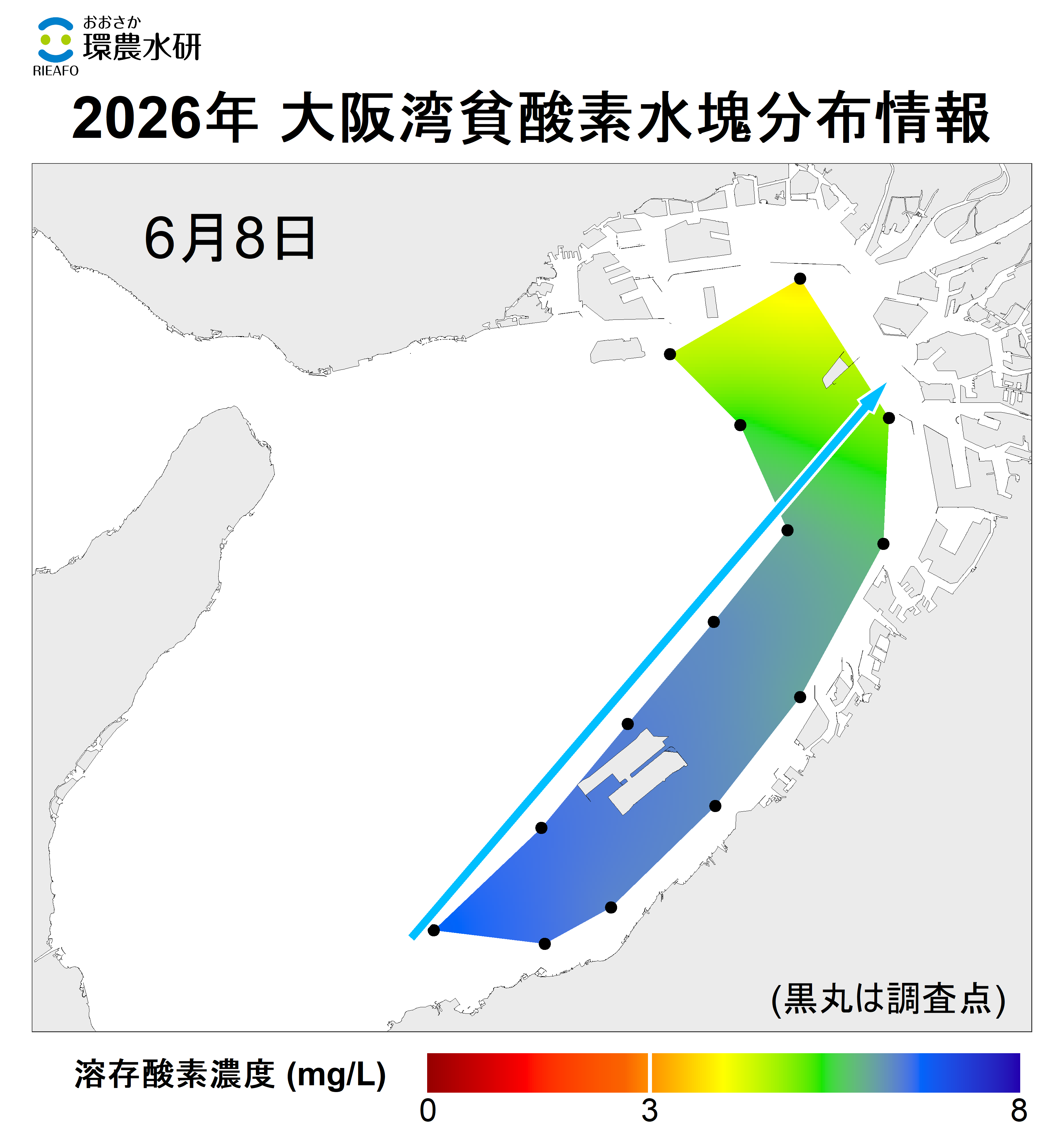 2025年6月8日調査　貧酸素水塊は確認されませんでした。