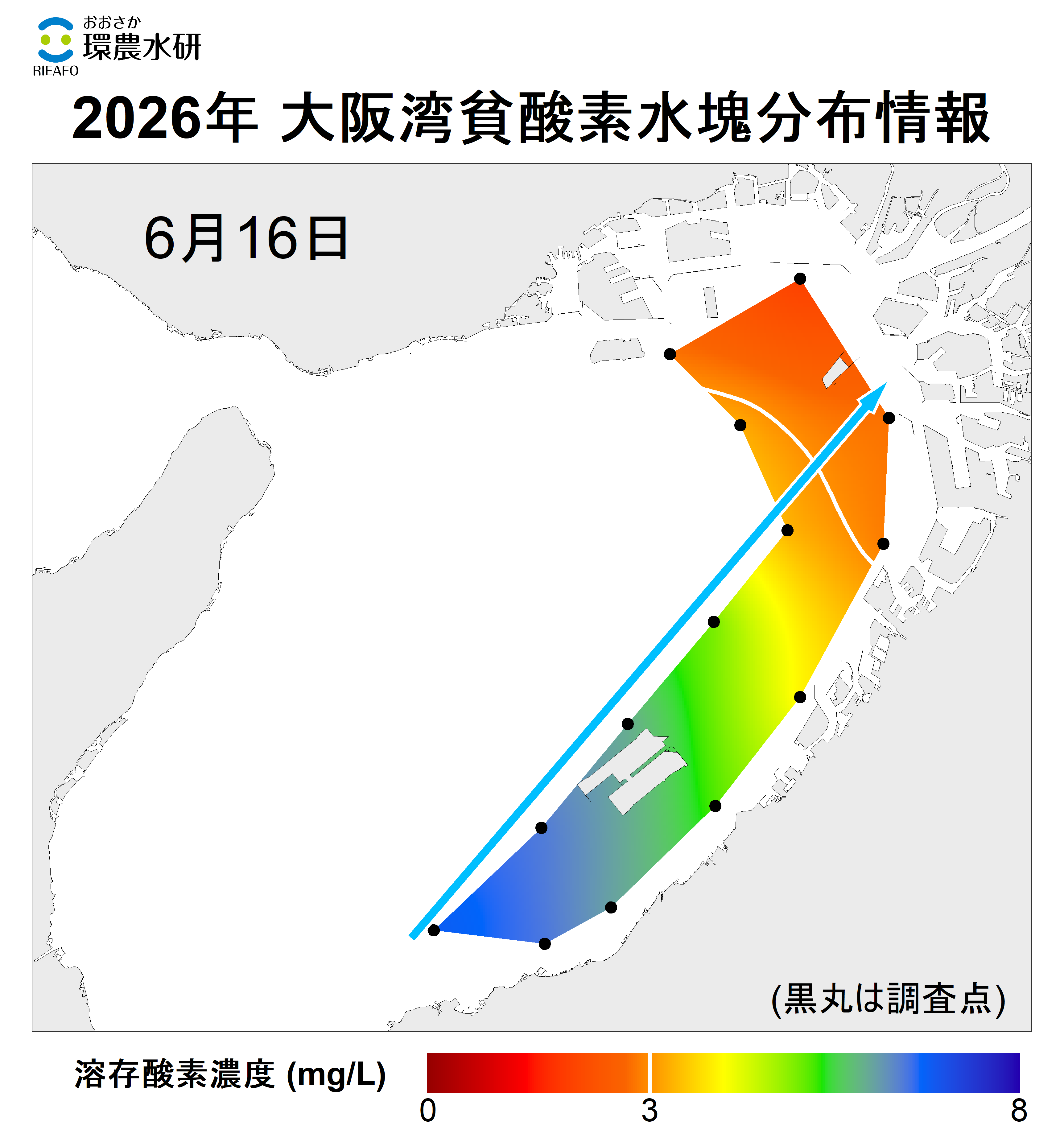 2025年6月16日調査　貧酸素水塊が確認されませした。