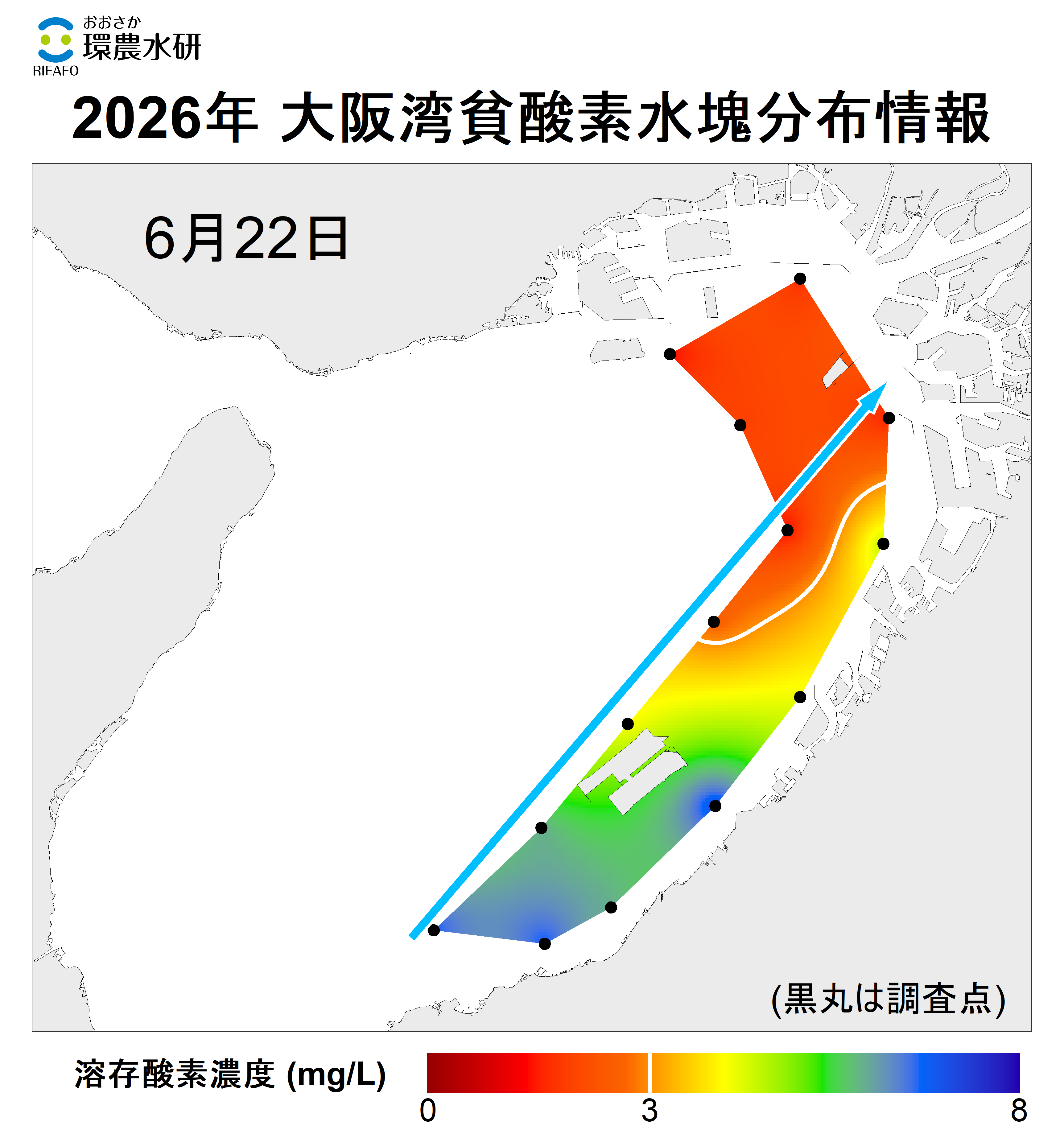 2025年6月22日調査　貧酸素水塊が確認されませした。