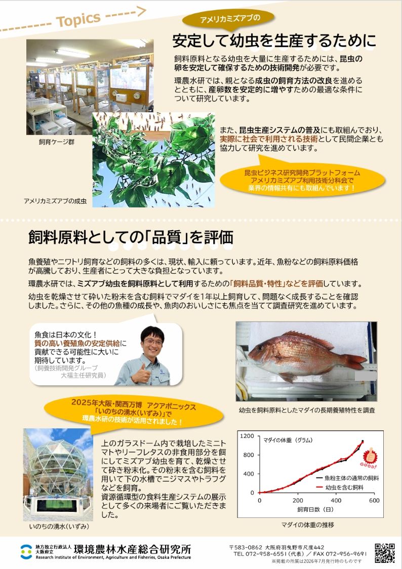 昆虫が持続可能な未来をひらく！裏