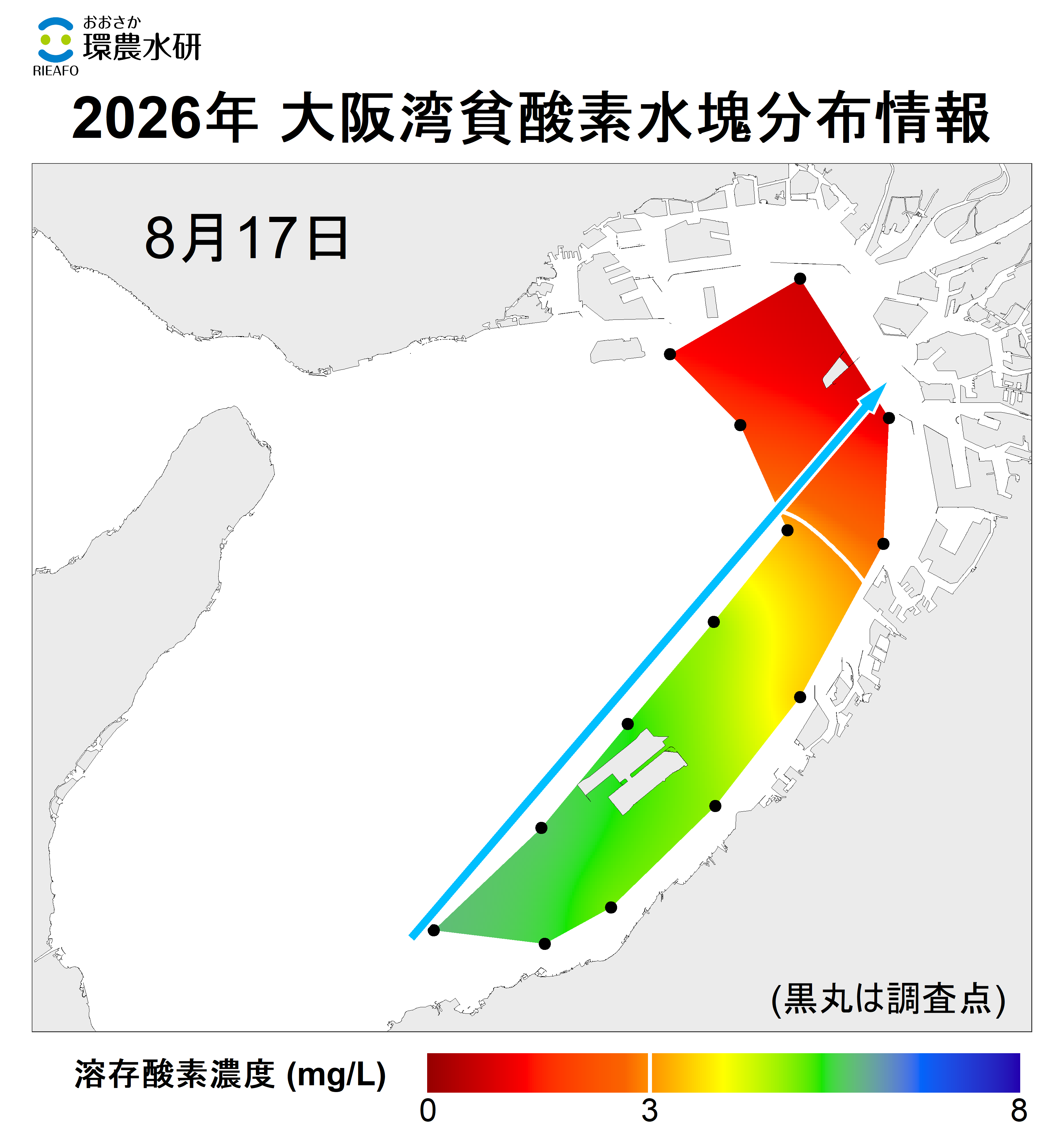 2025年8月17日調査　貧酸素水塊が確認されました。