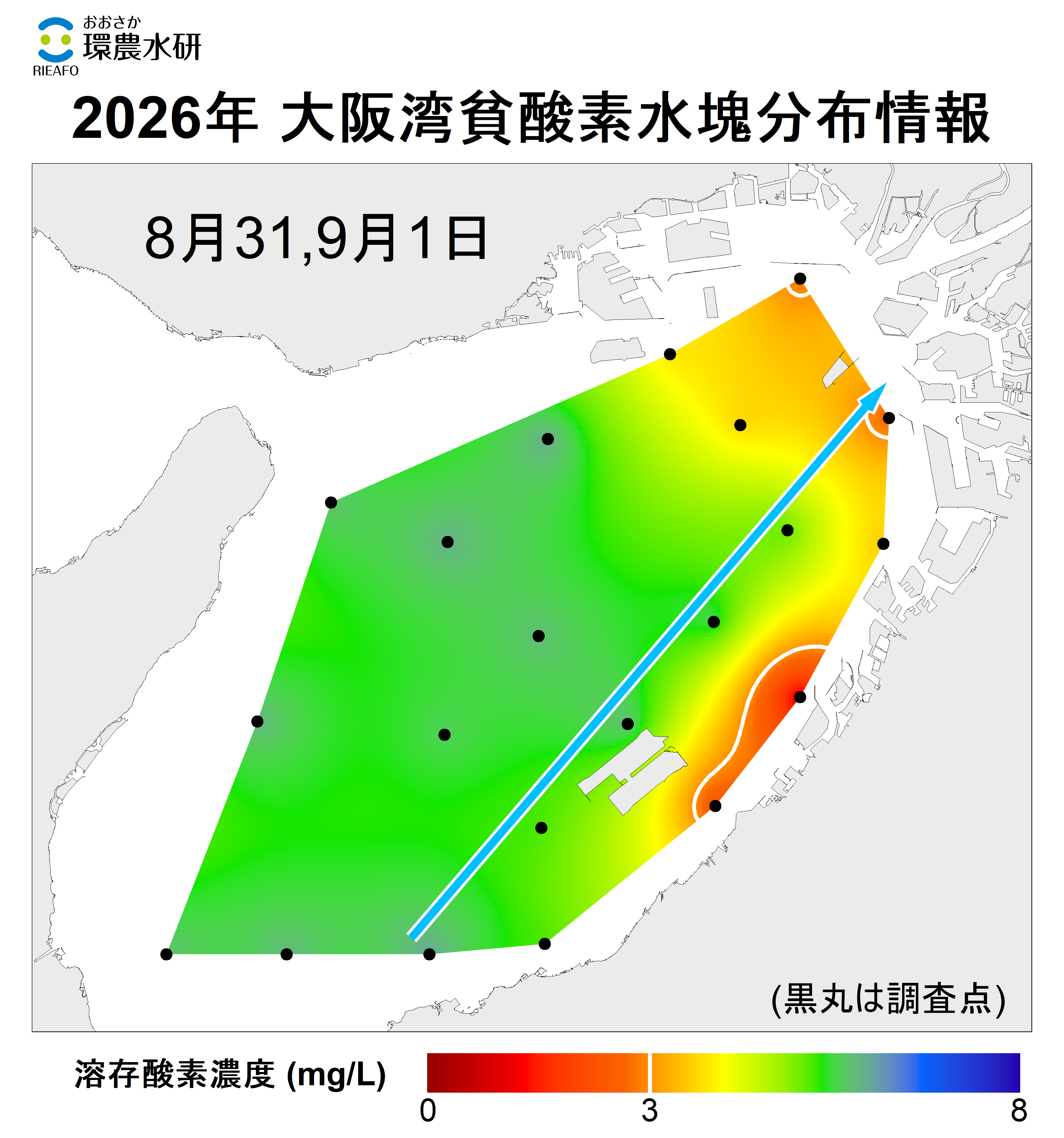 2025年8月31日,9月1日調査　貧酸素水塊が確認されました。