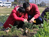 ハートフル農業への支援