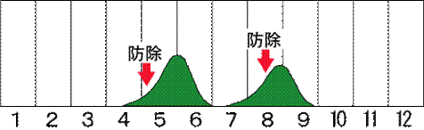 被害発生時期 被害発生時期