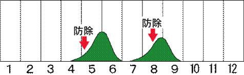 被害発生時期