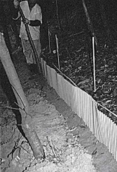波トタン板による遮蔽板の設置 波トタン板による遮蔽板の設置