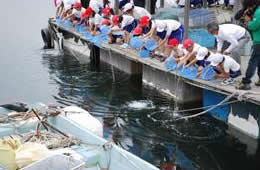 平成24年5月25日　ヒラメ稚魚放流