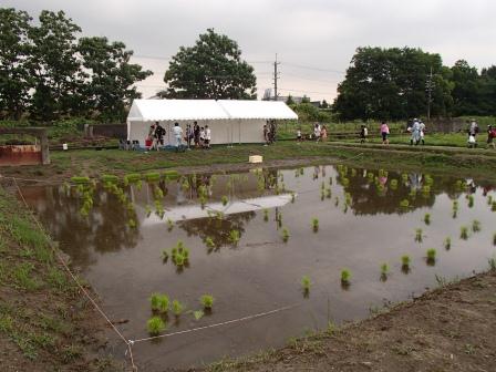 田植え前