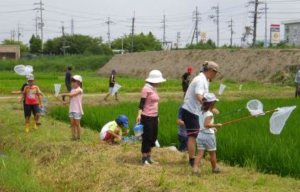 「田んぼの生きもの教室」生きもの探し（8月4日）