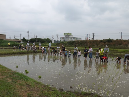 田植え（6月21日）