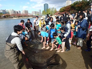 地曳網から魚をとりあげます