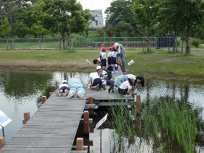 生物観察