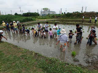 田植え