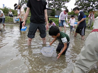 田植え前の田んぼで生きものさがし