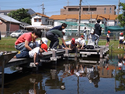 水辺の生き物観察