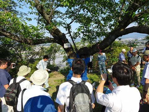 現地見学会の様子２