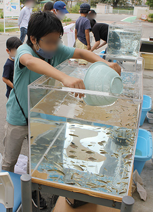 水槽へ魚をやさしく投入