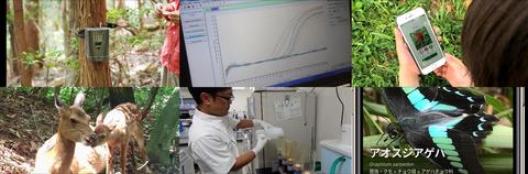 自動撮影カメラ、環境DNA調査、いきものコレクションアプリ「Biome」