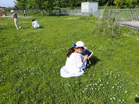 07_生きものさがし2