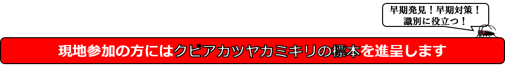 現地参加の方にはクビアカツヤカミキリの標本を進呈