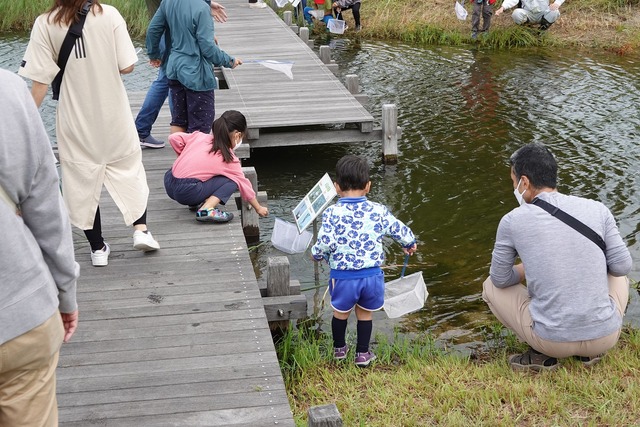 09水辺の生きものさがし01