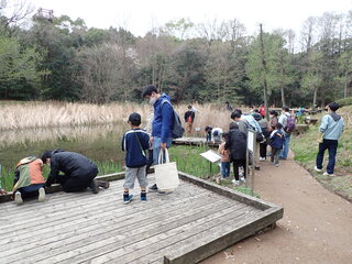 ビオトープ池で観察