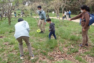 生産の森で観察