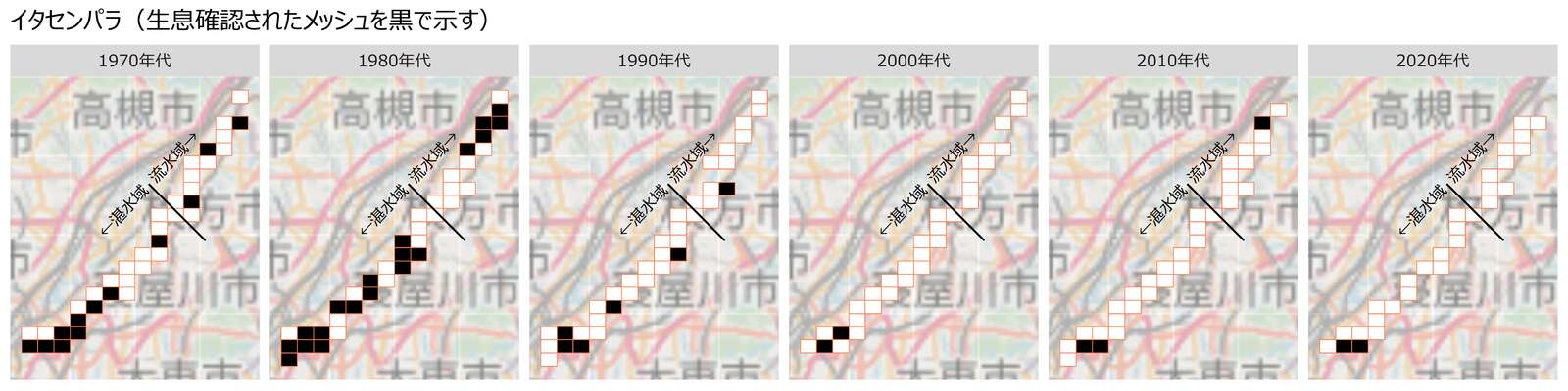 イタセンパラの分布の変遷