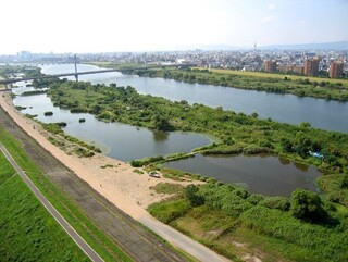 環境][報道] 毎日放送×おおさか環農水研生物多様性センター