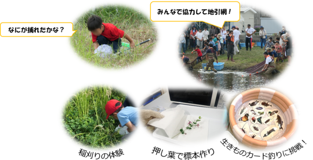 	生きものふれあいイベントの様子