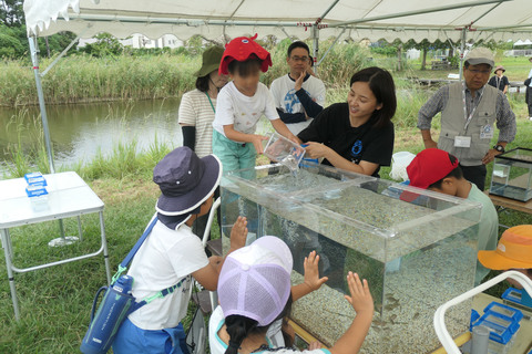 05_採れた魚を水槽に