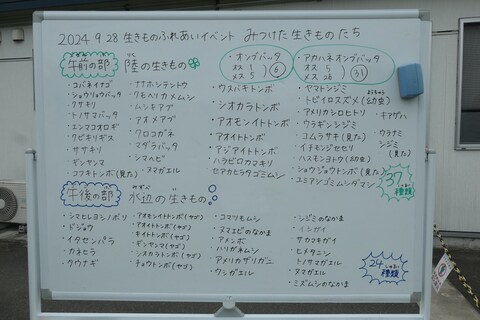 10_みんなで作った生きものリスト