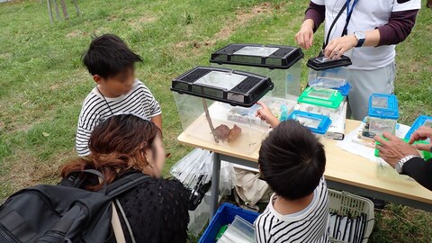 どんな虫が捕れたかな？
