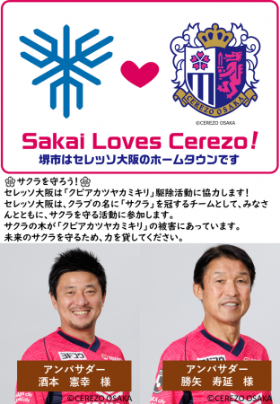 夏の陣　セレッソ