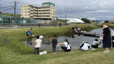 3_生きもの探し