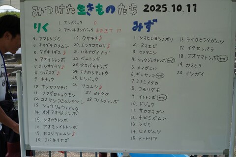 8_みつけた生きもの