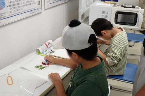 14_押し葉標本づくり 14_押し葉標本づくり